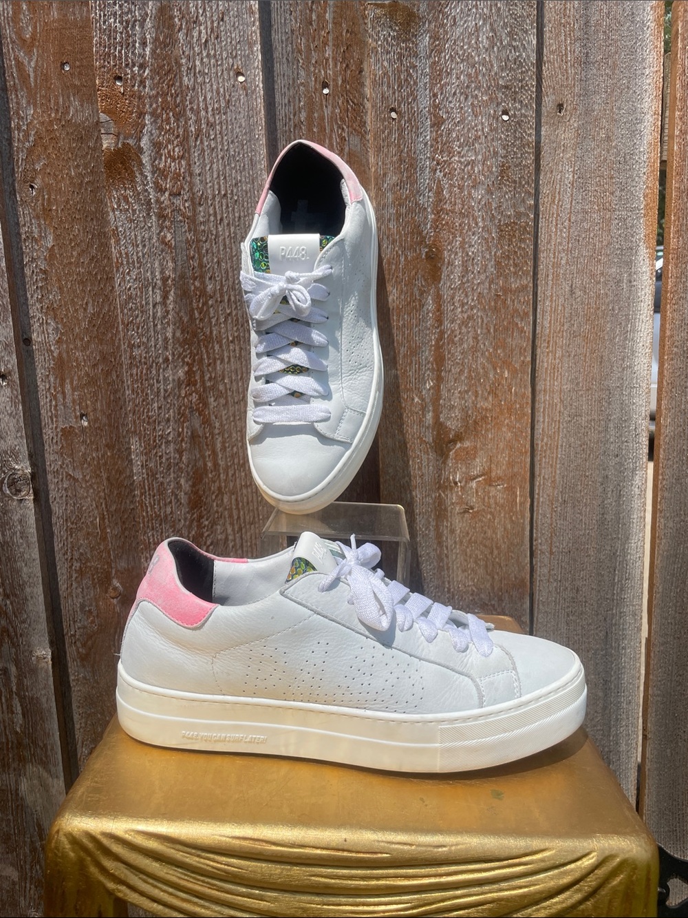 P448 Thea Sneaker - Women's